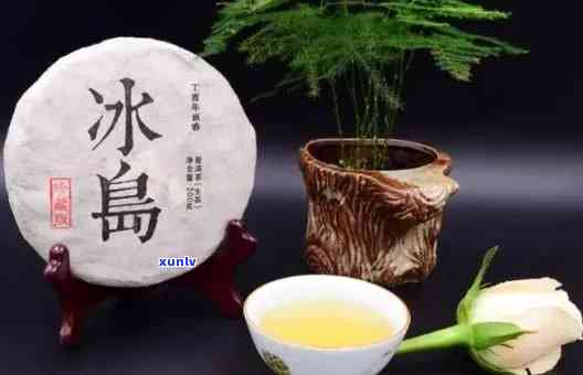 冰岛普洱茶什么香味喝：探究冰岛普洱茶的香气与味道