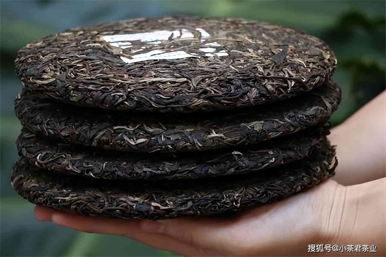 探究普洱茶饼的两种制作方法：生茶饼与熟茶饼的区别解析