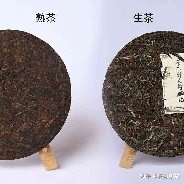 普洱茶生饼与熟饼的全面区别解析：制作工艺、口感、品质及保存要点一文搞懂