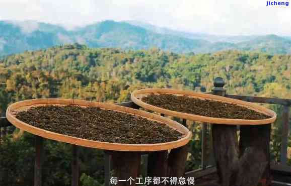 普洱景迈茶厂：打造高品质普洱茶的领军企业，了解生产工艺与茶叶品质