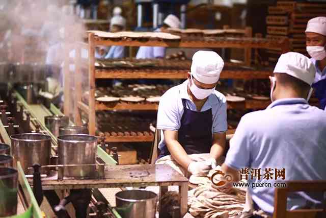 普洱景迈茶厂：打造高品质普洱茶的领军企业，了解生产工艺与茶叶品质