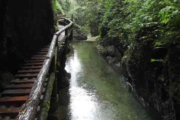 探索四川青城山：地理位置、如何到达以及周边景点的全面指南