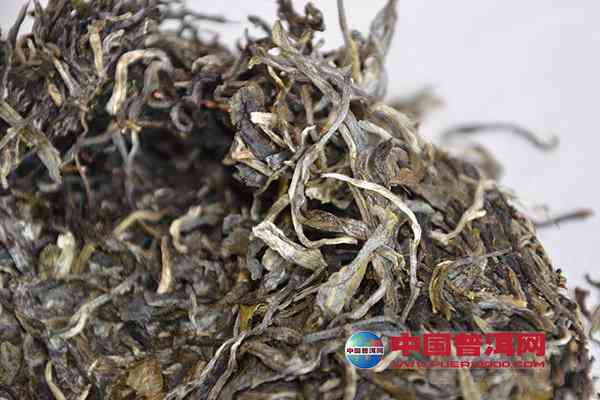 马古普洱茶价格多少钱一斤：探究茶叶市场现状与趋势