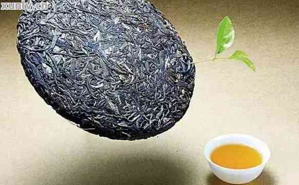 普洱茶收藏：推荐适合珍藏的品种及其特点解析