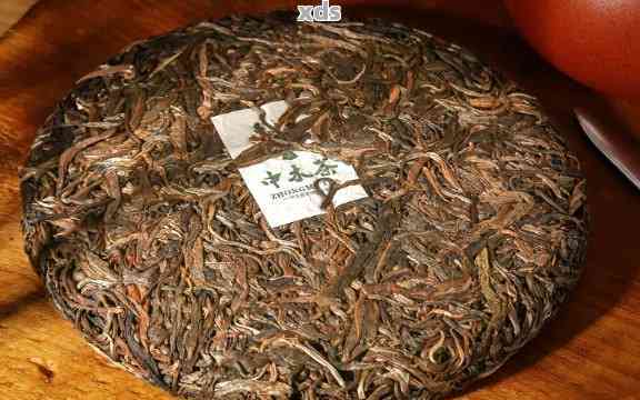 普洱茶收藏：推荐适合珍藏的品种及其特点解析