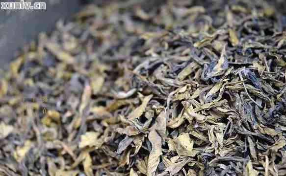普洱生茶的市场价值：一斤多少？哪个产地的普洱茶更值钱？