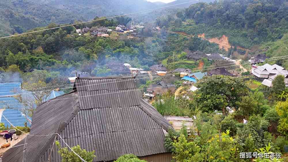 帕莎普洱茶山寨子，价格及特点，口感与茶区解析