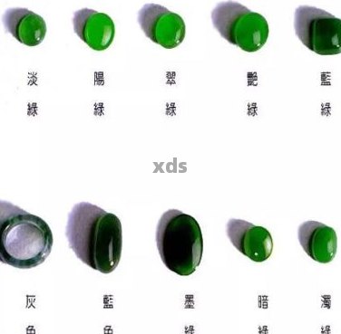 翡翠豆种颜色的选择与鉴别：全方位解析与技巧