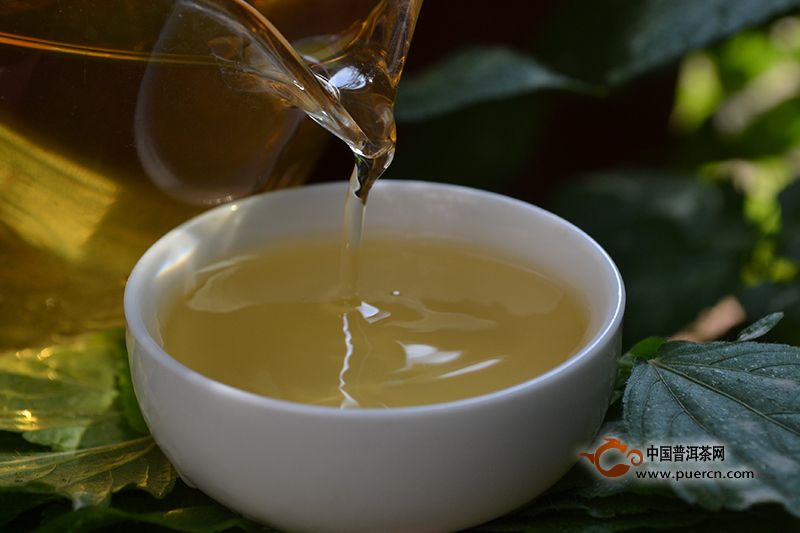 薄荷叶与普洱茶叶的完美结合：清新降血脂的薄荷塘生茶口感特点解析