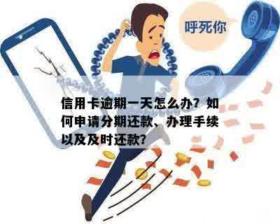 逾期一天还款，信用卡如何办理分期？解决办法全解析