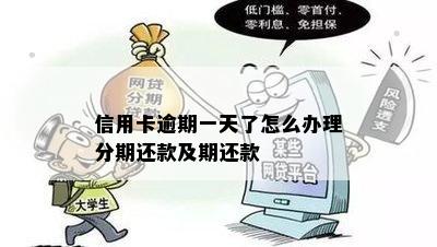 逾期一天还款，信用卡如何办理分期？解决办法全解析