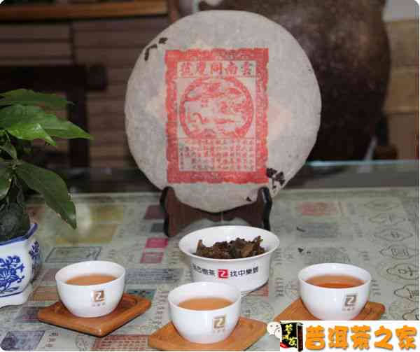 天福普洱茶的品鉴与饮用技巧：如何让您每次品尝都更加美味？