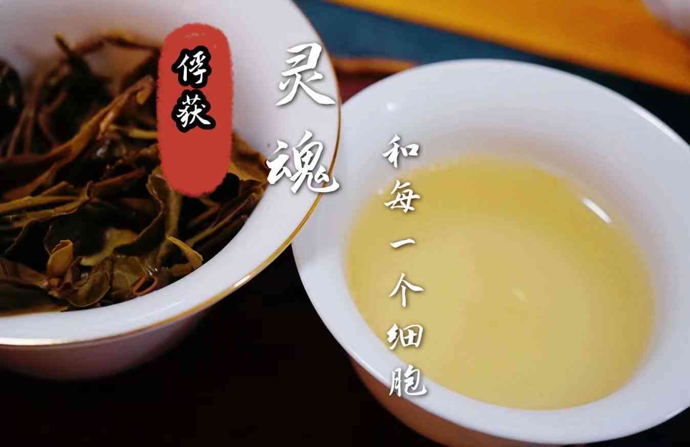 普洱茶回特别甜好吗