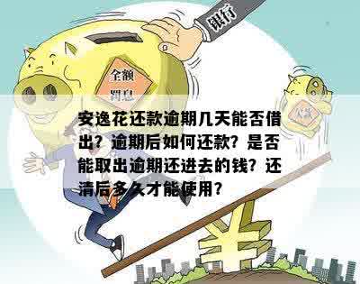 安逸花逾期还款，如何申请期还款？了解详细操作步骤及注意事项！