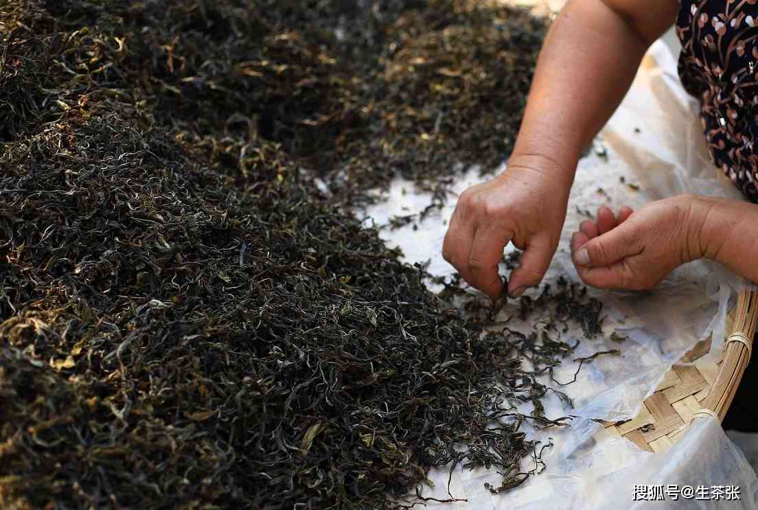 揭秘普洱茶价格居高不下的原因与背后的制作工艺