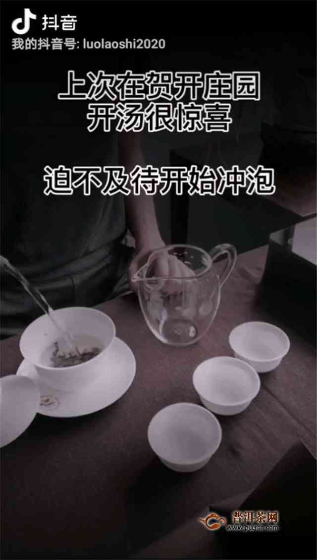 抖音旗舰店普洱茶