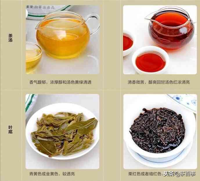 普洱茶与黑茶：属于同一茶类还是完全不同？