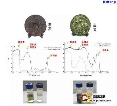 普洱茶中的黑色素成分及其健影响：了解真相与潜在风险