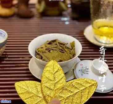 探究普洱茶中的黄金叶品种及其独特魅力：一份详尽的解析
