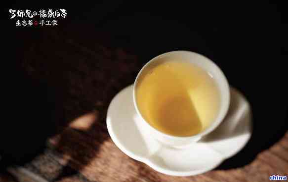 普洱茶时光散文美文：普洱茶的魅力与吟唱录片