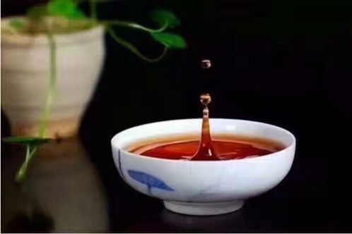 普洱茶的创新历背景及云南茶文化的发展意义