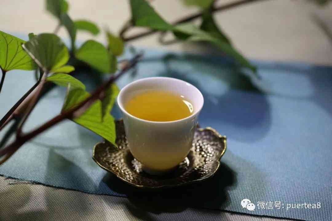 古树普洱茶猫耳朵价格