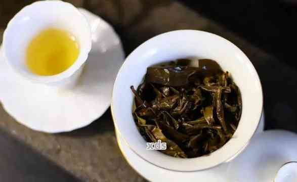 普洱茶最迷人特质是什么：探究这一神奇茶叶的魅力所在