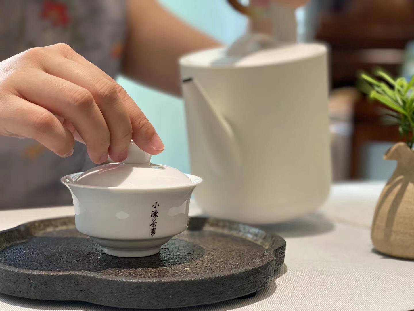 娜姐的普洱茶：揭秘其茶叶种类与独特风味