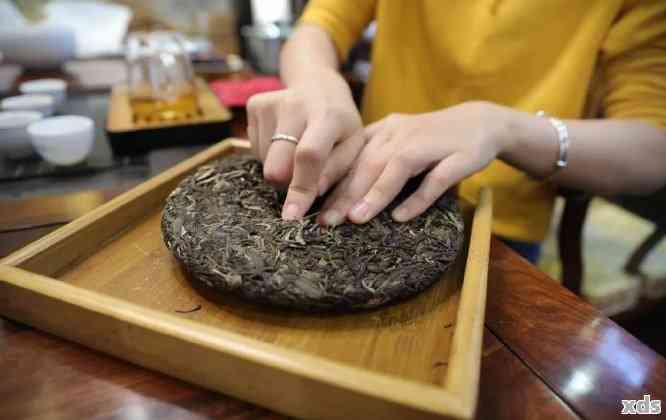 品味普洱熟茶的正确方法：从茶饼到泡茶的全流程详解