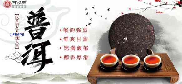 云南普洱茶价格差异解析：为什么有些普洱茶更贵？