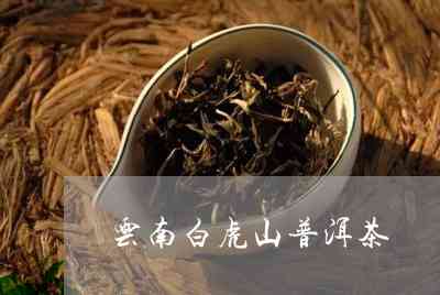 弯白虎山普洱茶口感