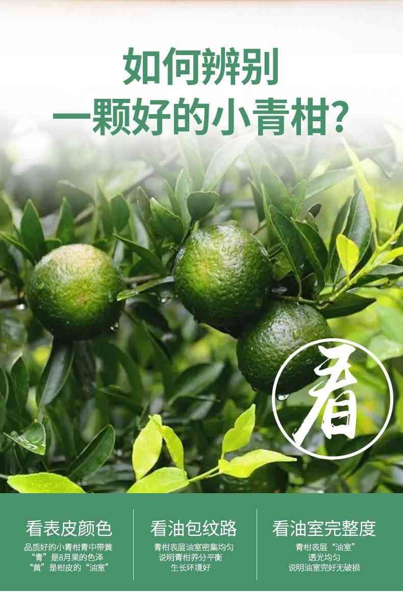 全面比较！新会柑普茶各大特色与口碑，为你找到最适合的柑普茶