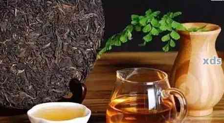 普洱茶饮用量：十克一天合适吗？与个人体质密切相关