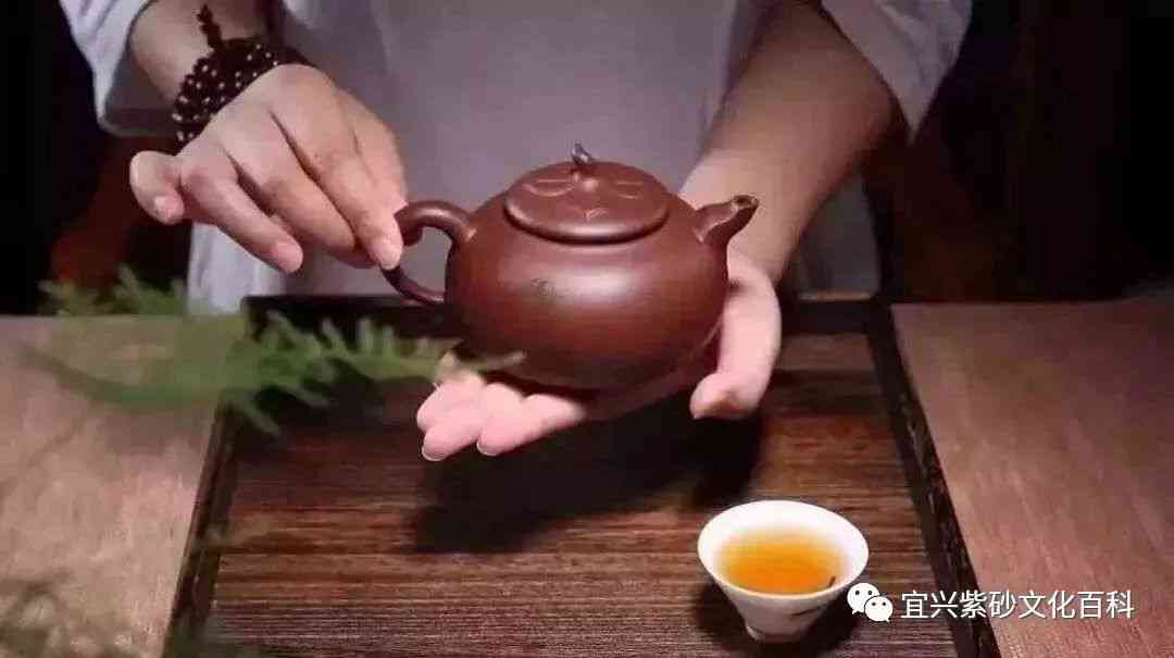 全面了解紫砂壶与普洱茶：如何正确使用紫砂料泡制普洱茶的完整指南