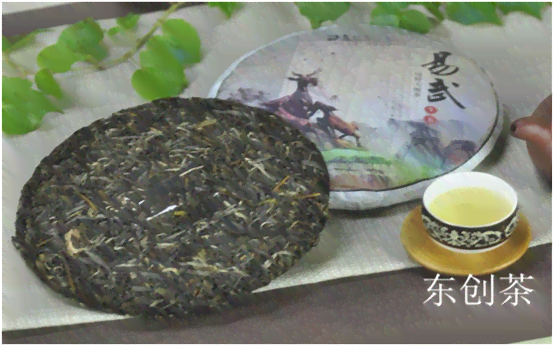 头春茶树王普洱茶