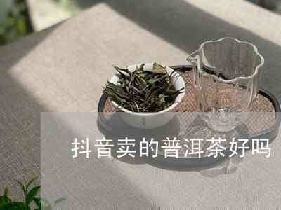 抖音普洱茶怎么喝好喝