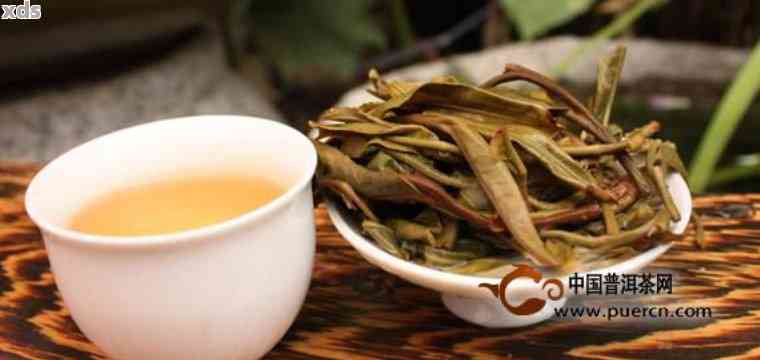 什么叫普洱茶纯料