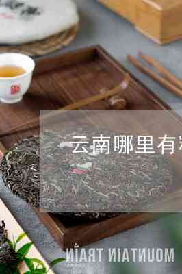 糯米香普洱茶哪里