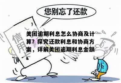 美团逾期还款解决方案：详细规划与协商技巧