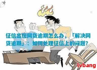 网贷逾期会成失信人吗：处理方法与现状分析