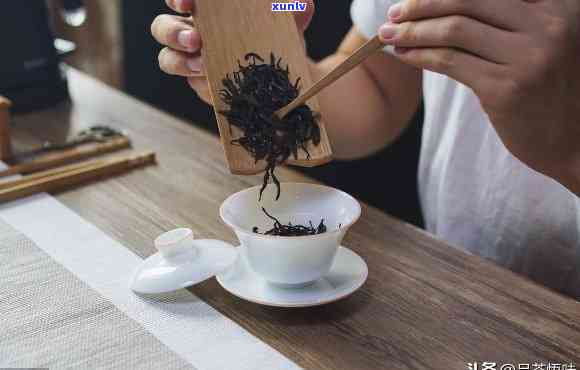 《饮茶》的全面指南：从选茶到品味，了解中国茶文化的一切