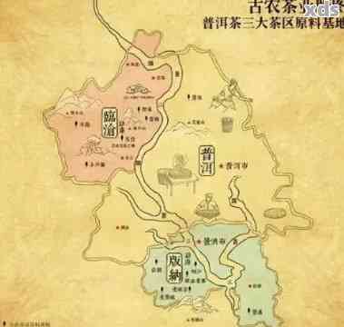 易武普洱茶的发展历程：从古至今的演变与传承