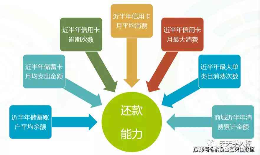 债务困扰：理解还款意愿与还款能力的微妙平