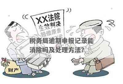 关于逾期未申报记录的处理方法，税务局如何解决？