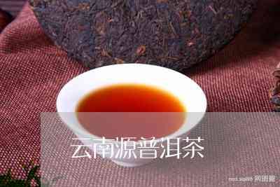 源茶业普洱茶怎么样