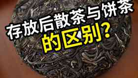 瓷罐与罐：普洱茶存的选择还是其他？