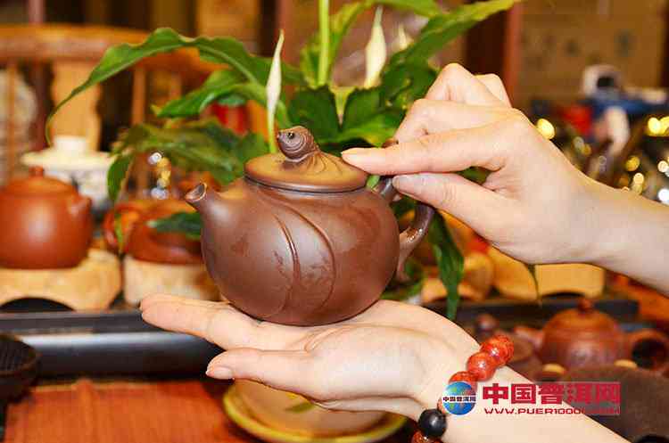 掌握普洱茶冲泡技巧：紫砂壶与如何使用