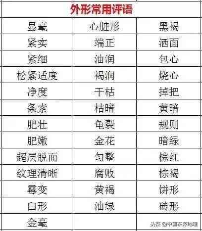 云端上泡壶普洱茶：步骤、技巧和品鉴方法的全面指南