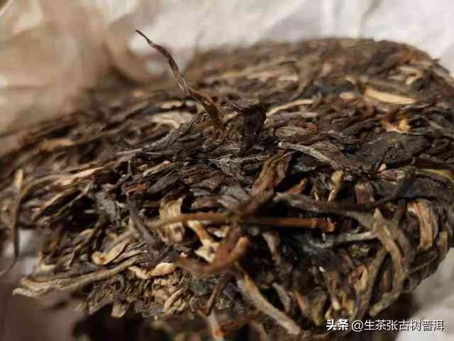 普洱茶散生茶的种类及其特点，如何挑选和品鉴？