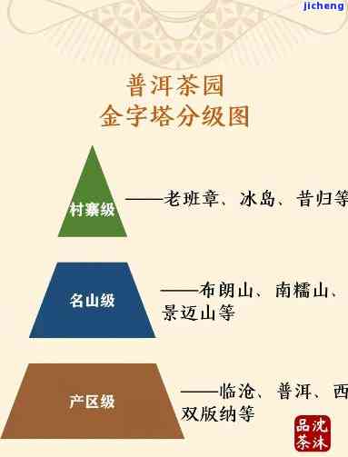 普洱茶古树级别分类详细指南：从入门到精通，了解各类茶叶的特点和品质